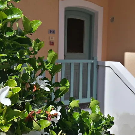 Amazones Village 4* Hersonissos (Crete)