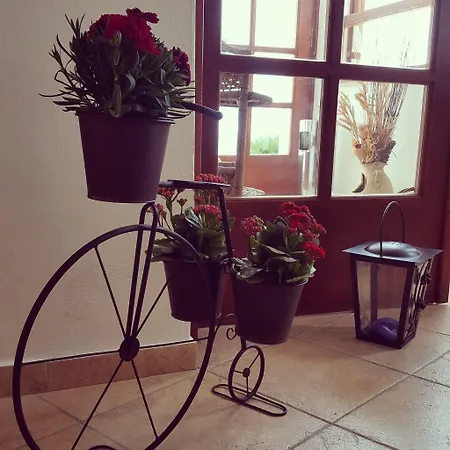 Amazones Village 4* Херсониссос